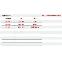 Gorilla Wear Gear 6 Inch Padded Leather Belt, Black/Gold -Udstyr og tilbehør butik 991079001r full leather padded belt black gold 6