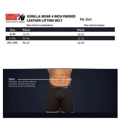 Gorilla Wear Gear 4 Inch Padded Leather Belt, Black/Red -Udstyr og tilbehør butik 9915690511R GW 4Inch Padded Leather Belt BlackRed 0921